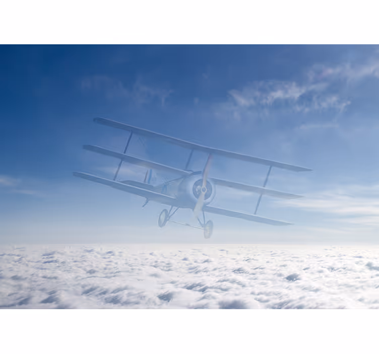 Sky with airplane Marriage Wall Murals - TenStickers