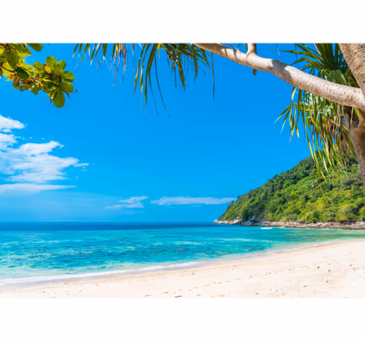 Sights to caribbean sea under the sea mural - TenStickers