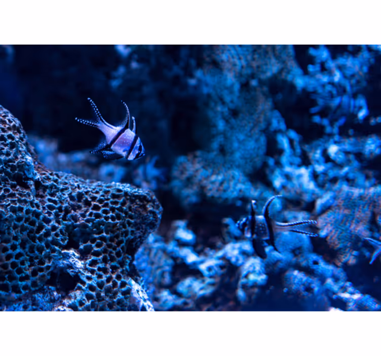 Life in deep ocean under the sea mural - TenStickers