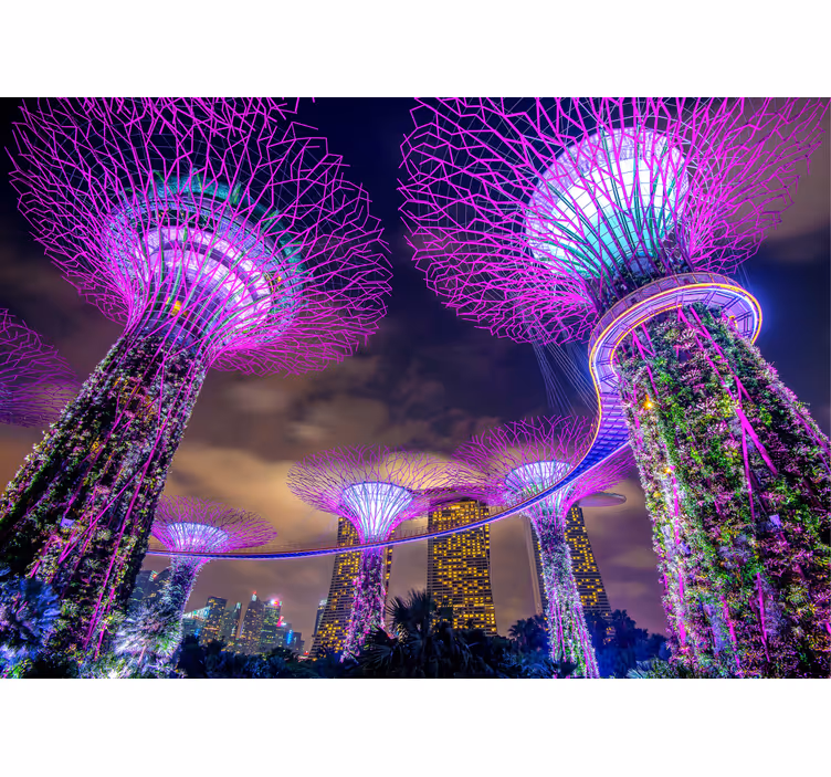Beautiful lights of Singapore city wall mural - TenStickers