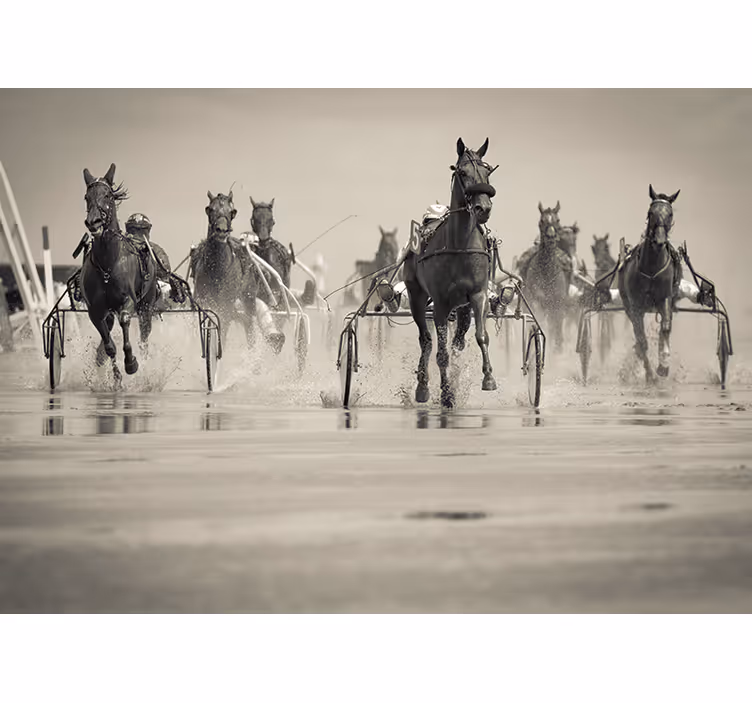 Running group of horses wall mural - TenStickers