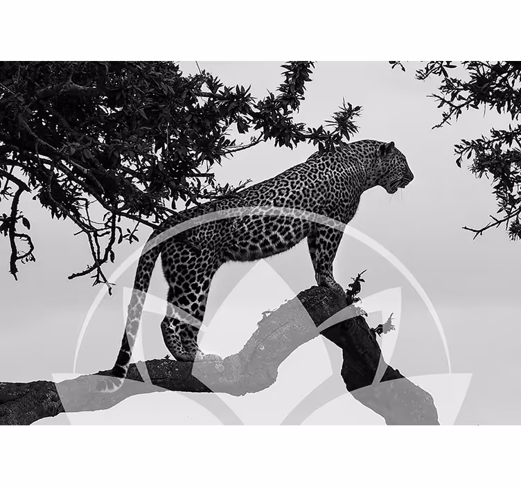 Leopard in Tree animals wall mural - TenStickers