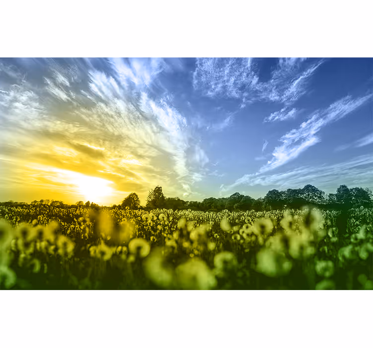Twilight Blossom Meadow flower wall mural - TenStickers