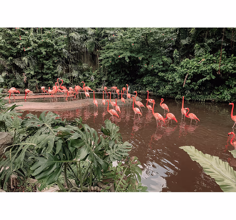 Flamingos by Water animals wall mural - TenStickers