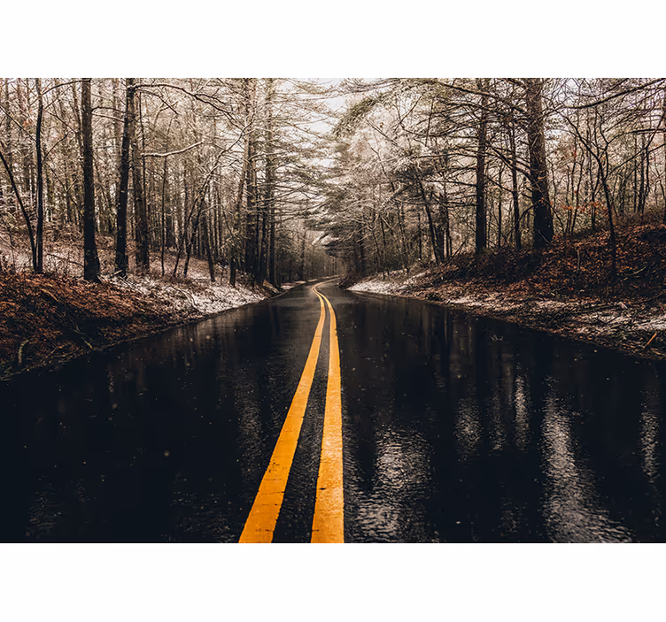 Curving Forest Road landscape wall mural - TenStickers