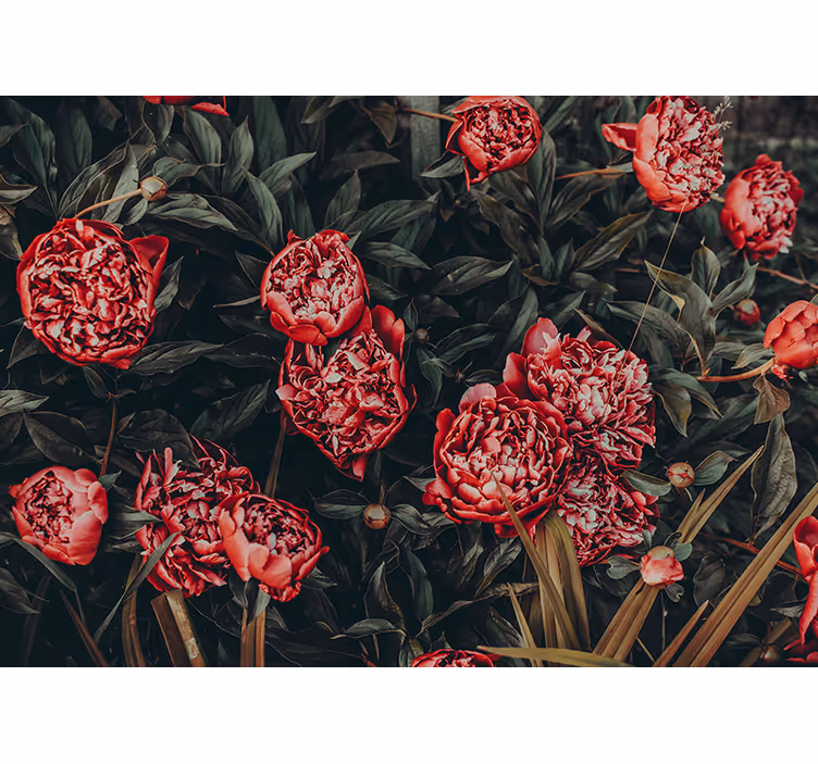 Vintage flowers wall mural - TenStickers