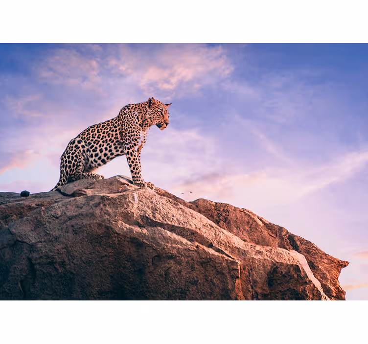 Leopard on Rock animals wall mural - TenStickers