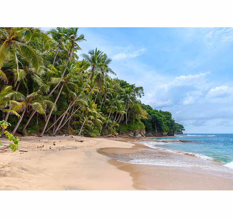 Beach paradise nature wall mural - TenStickers