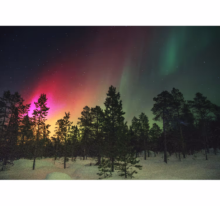 Aurora Borealis Display wall mural nature - TenStickers