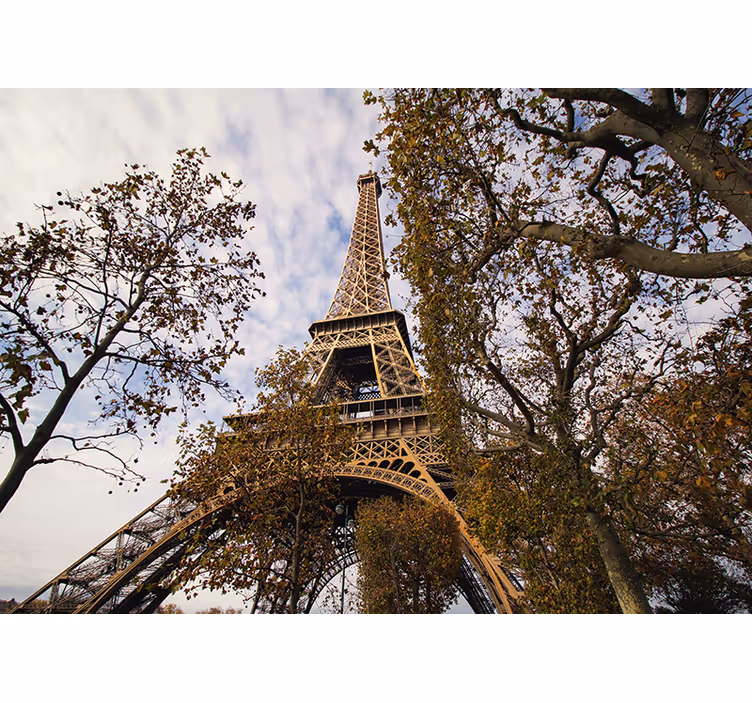 Paris with the garden wall mural - TenStickers