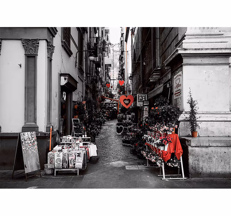 Naples metropolitan city  wall mural - TenStickers