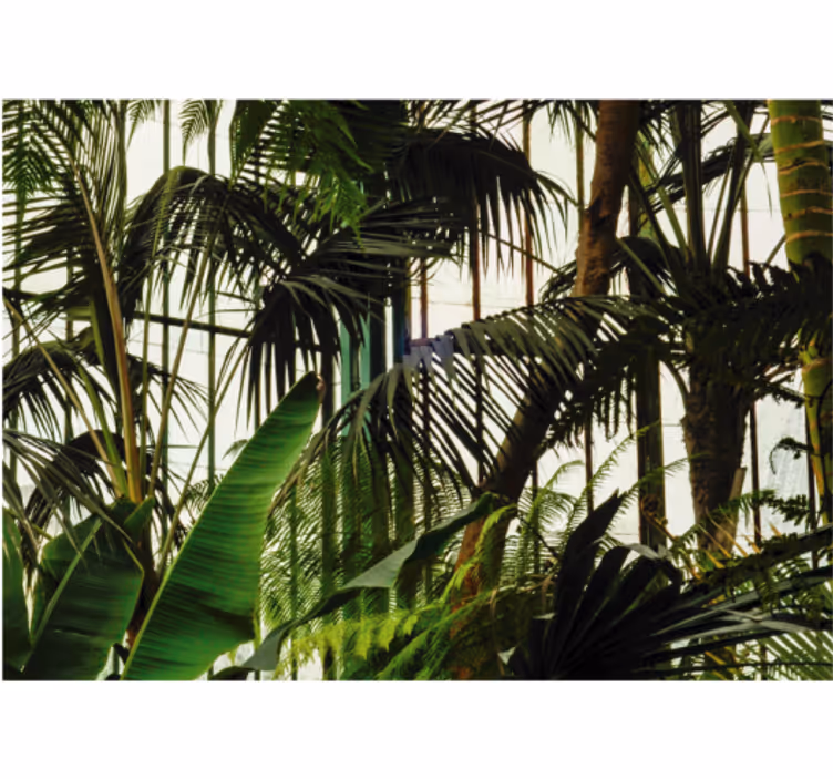 Living walls green plants wall mural - TenStickers