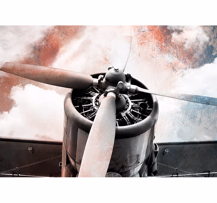Old airplane  vintage wall mural - TenStickers