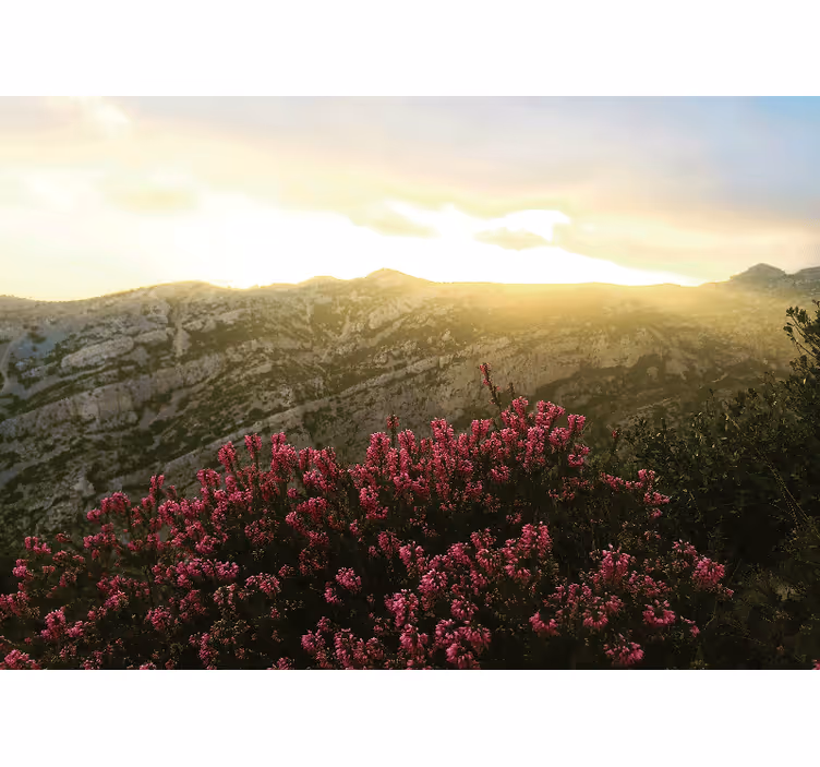 Wall mural nature blooming pink flowers - TenStickers