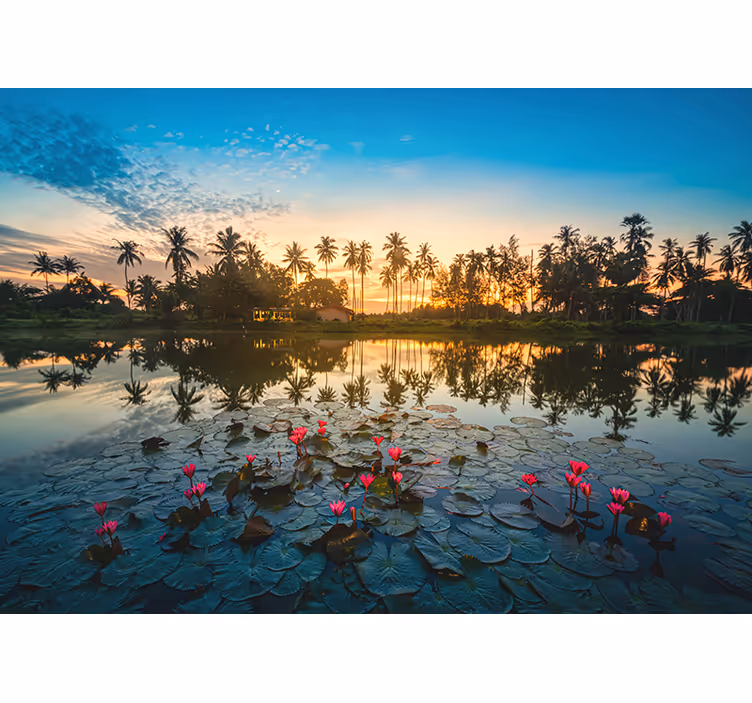 Serene Lotus Reflection wall mural nature - TenStickers