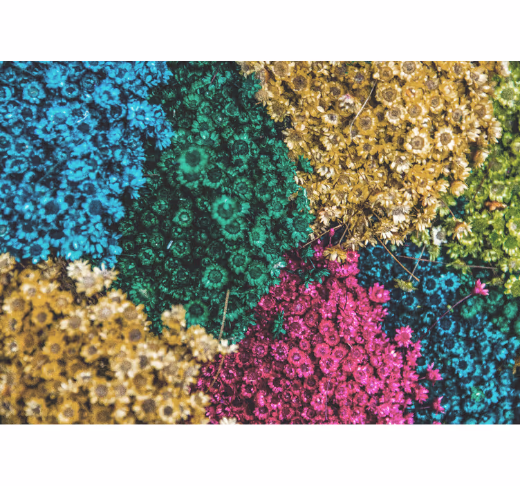 Flower wall mural colorful floral designs - TenStickers