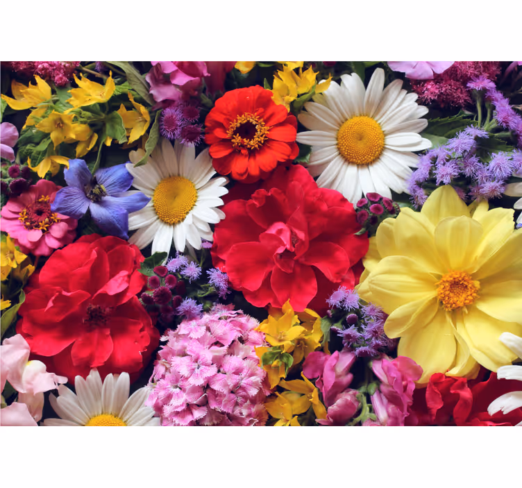 Delicate flowers wall mural - TenStickers