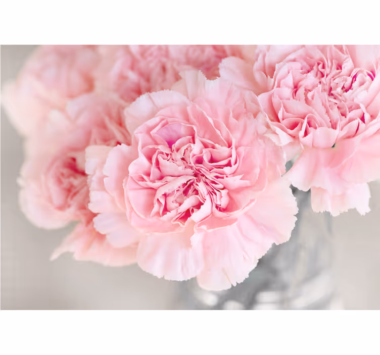 Many pink cloves grey background wall mural - TenStickers