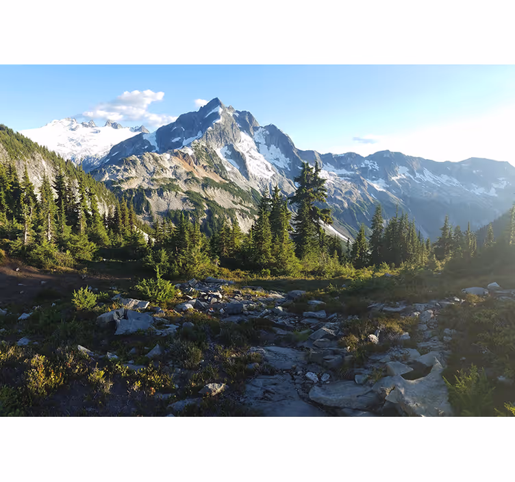 Landscape wall mural mountainous forest scene - TenStickers