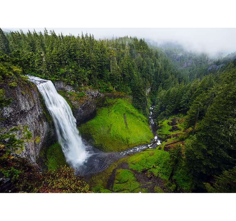 Peaceful waterfall in green forest  wall mural - TenStickers