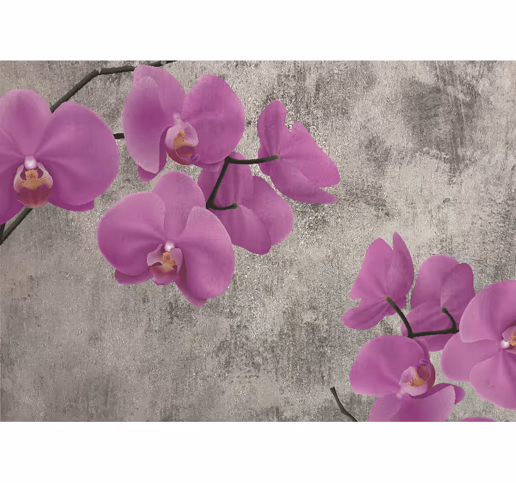 Flower wall mural rose orchid blossoms - TenStickers