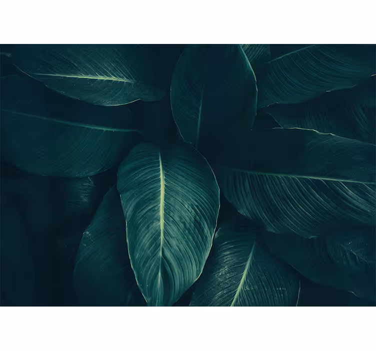 Big green tropical leaves nature wall mural - TenStickers