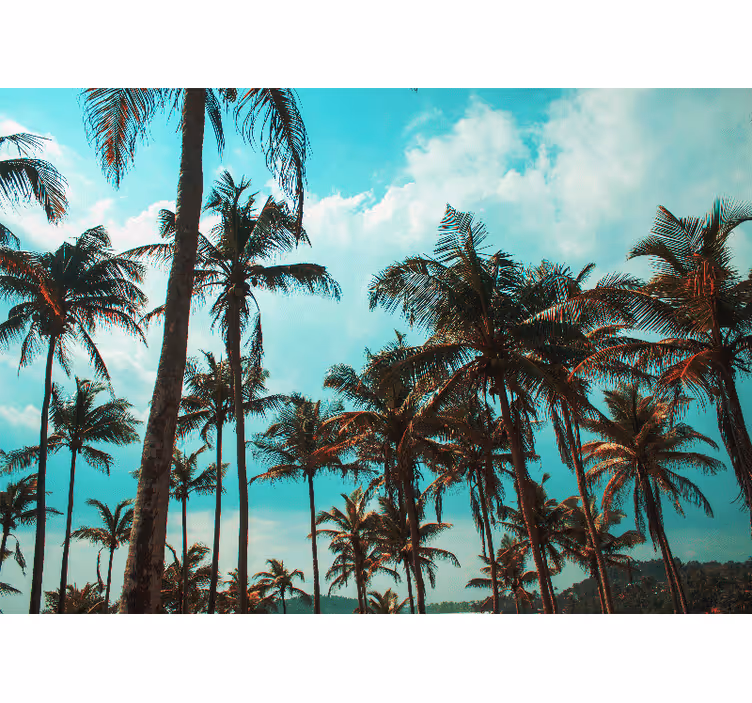 Wall mural nature tropical palm trees paradise - TenStickers