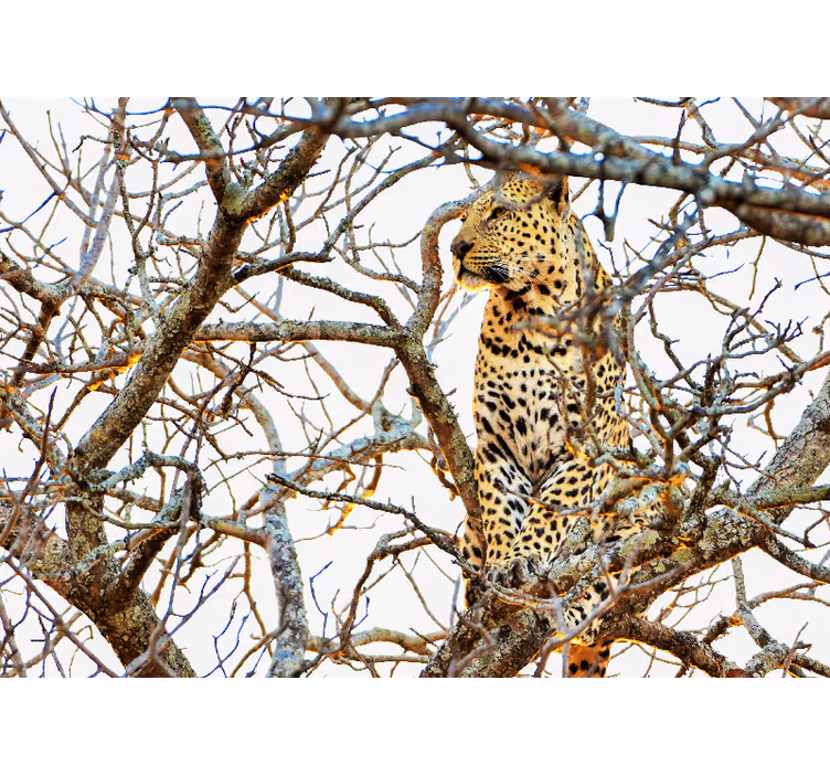Jungle animal on tree living room wall mural - TenStickers