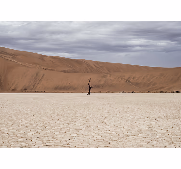 Wall mural mountain desert landscape view - TenStickers