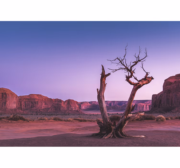 Landscape wall mural desert stone formation - TenStickers