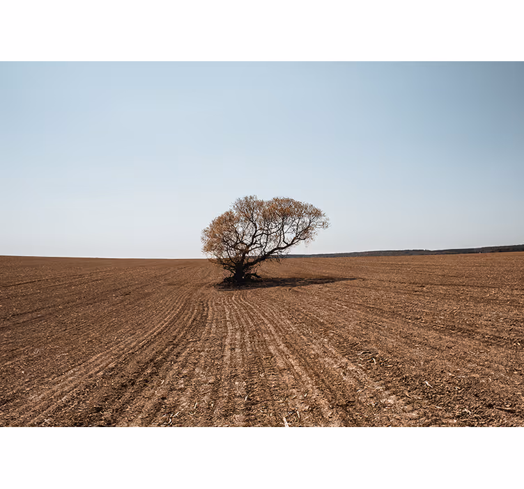 Single tree in the desert Wall Mural - TenStickers