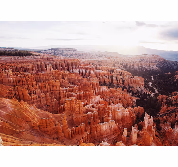 Landscape wall mural bryce canyon view - TenStickers