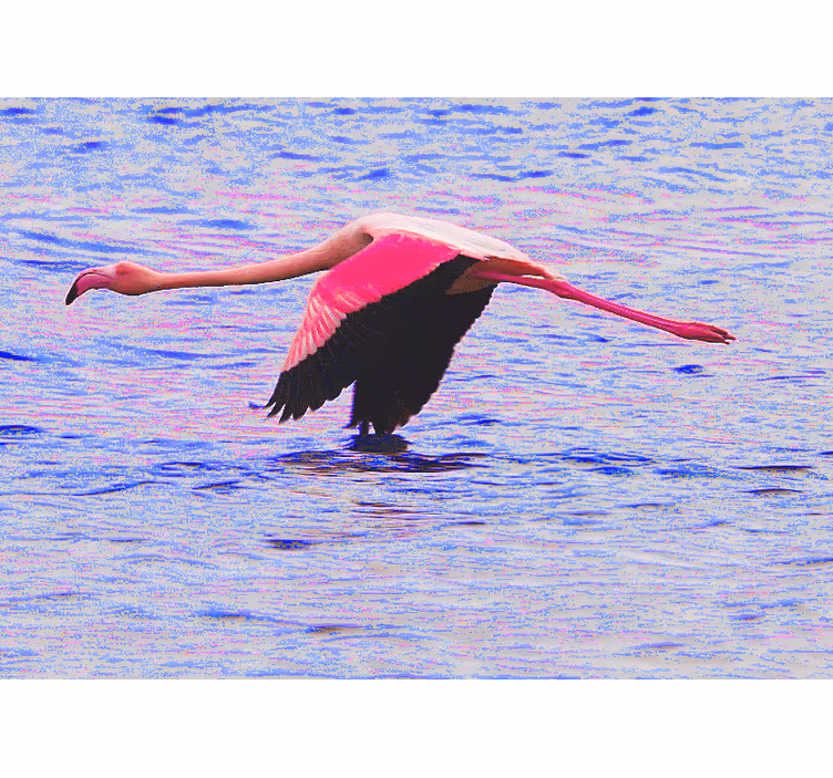 Flamingo in flight animals wall mural - TenStickers