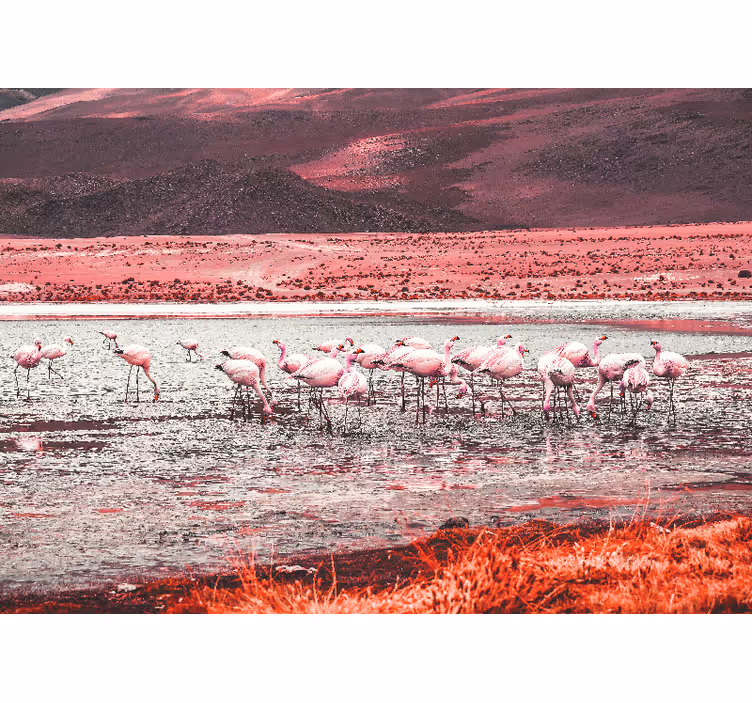 Animals wall mural flamingo habitat scene - TenStickers
