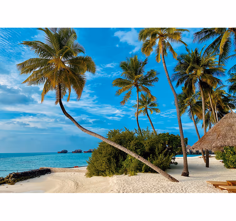 Wall mural nature tropical palm scenery - TenStickers