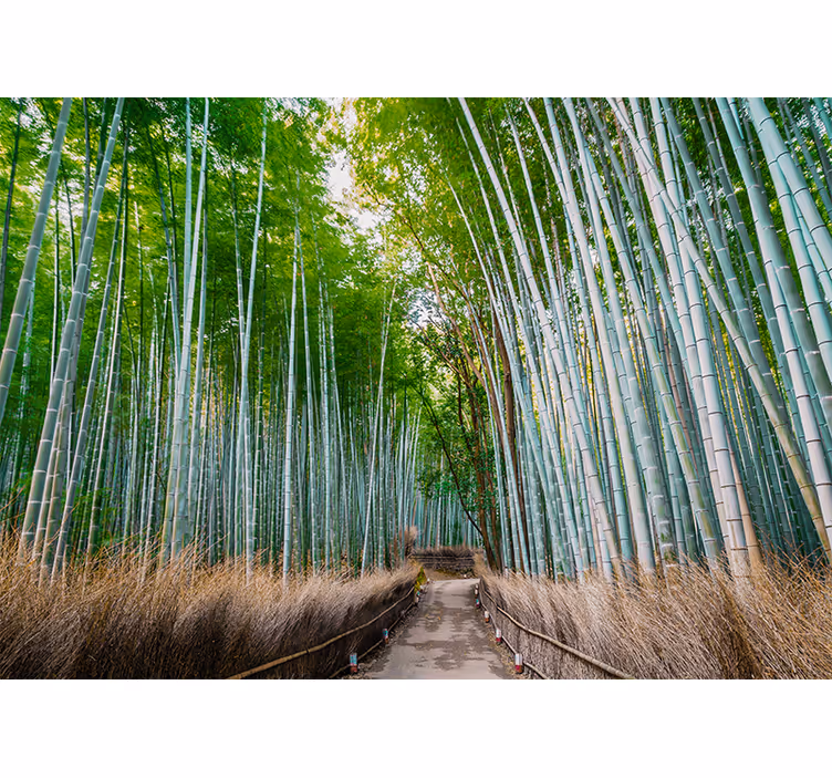 Bamboo path green tree mural - TenStickers