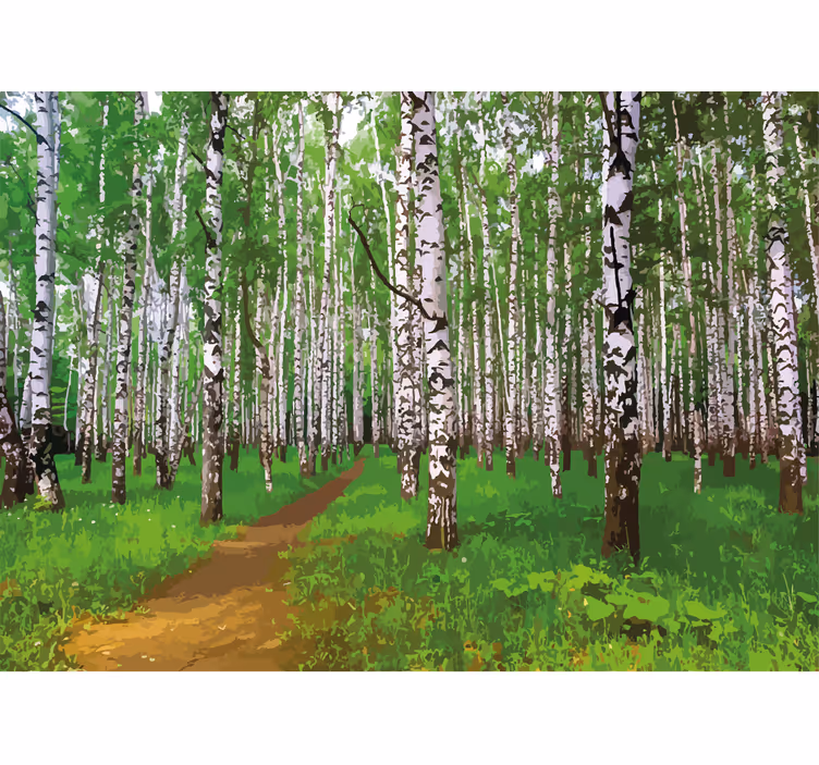 Wall mural nature birch forest path - TenStickers