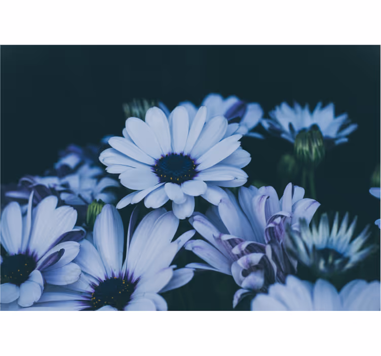 Flower wall mural serene floral arrangement - TenStickers