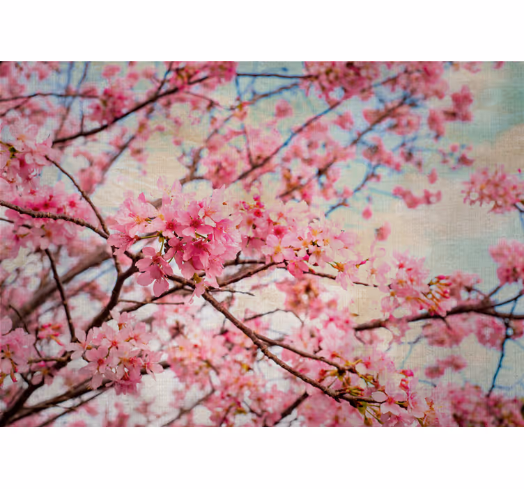 Flower wall mural sakura branches design - TenStickers