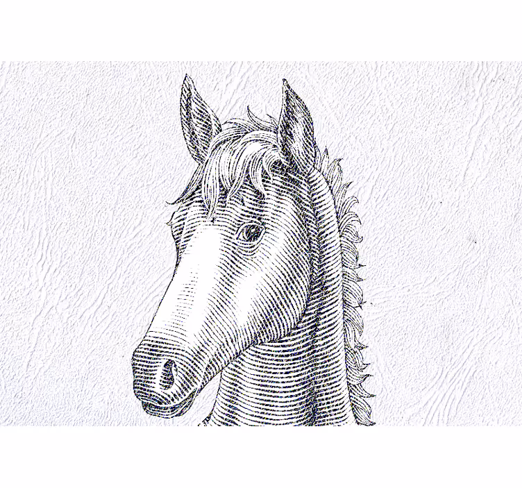 Animals wall mural elegant horse portrait - TenStickers