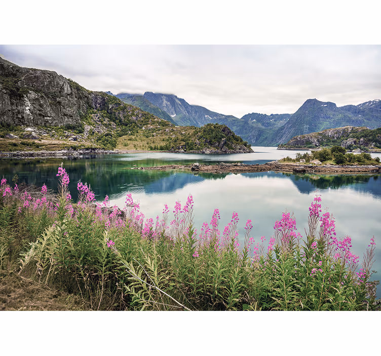 Green grass with purple flowers wall mural - TenStickers