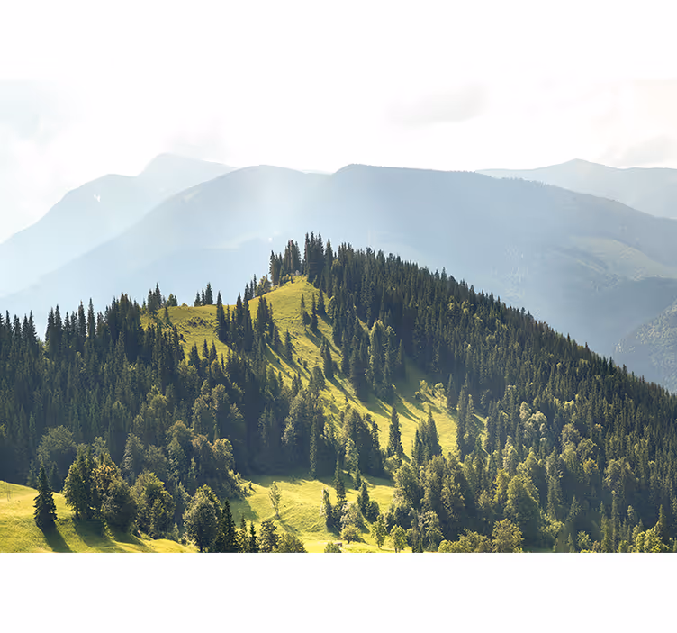 Landscape wall mural mountain forest view - TenStickers