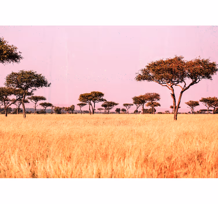 Original African Savannah africa wall mural - TenStickers
