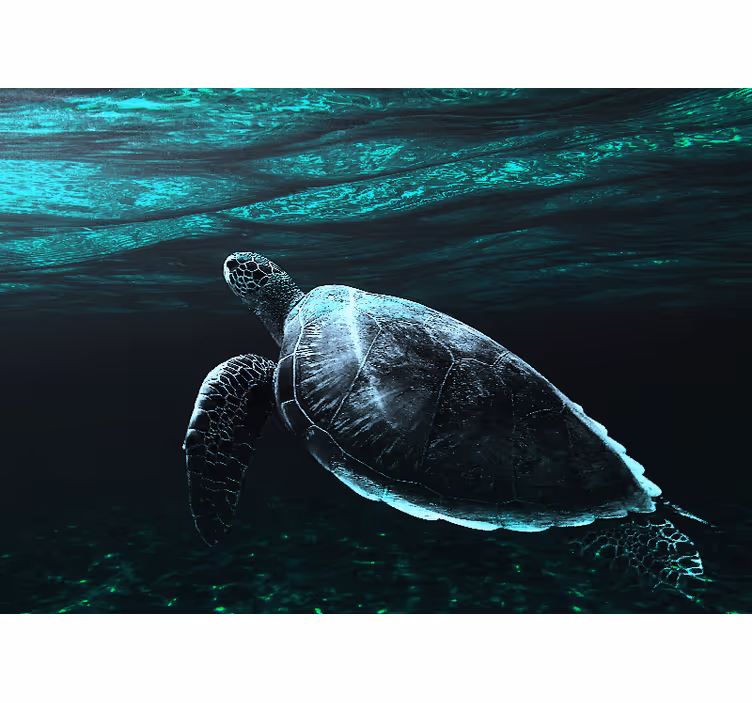 Animals wall mural majestic sea turtle - TenStickers