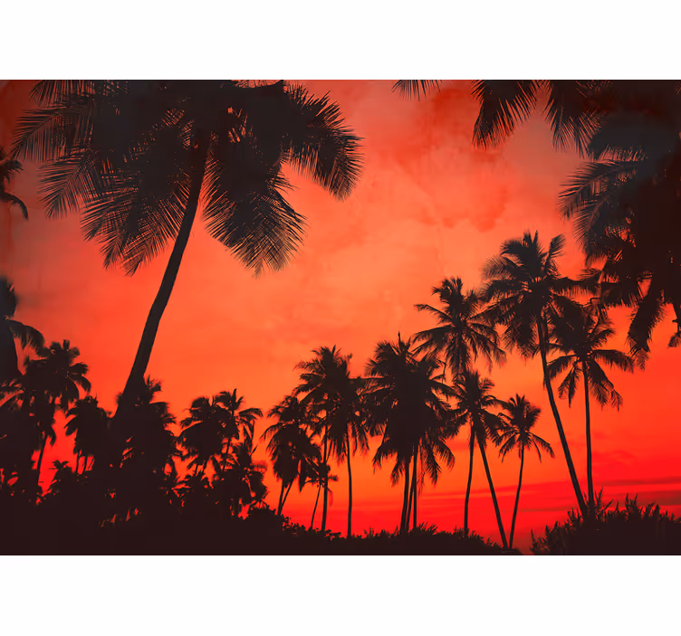 Wall mural nature silhouette of palm trees - TenStickers