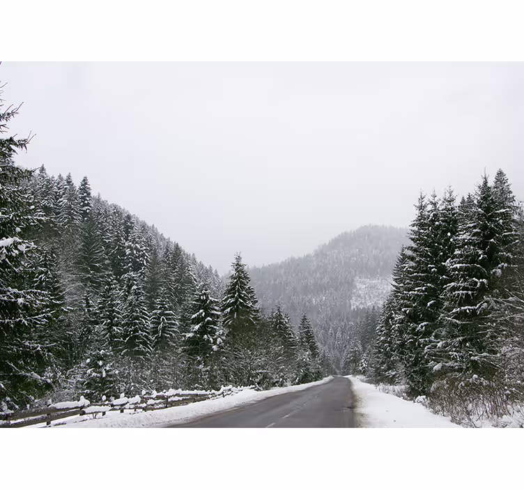 Wall mural mountain icy mountain landscape - TenStickers