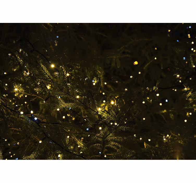 Christmas wall mural festive tree lights - TenStickers