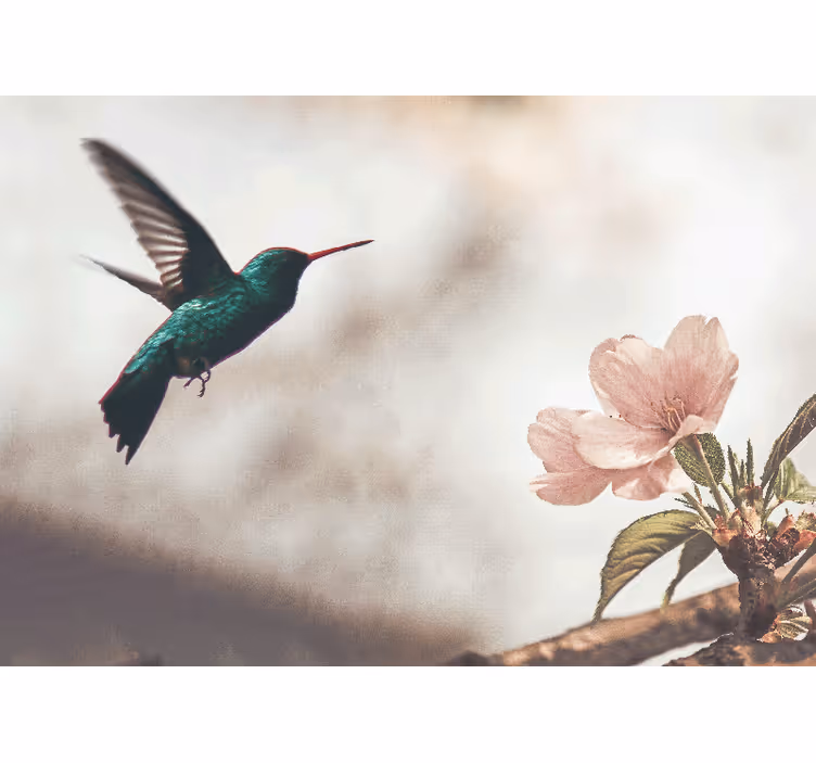 Animals wall mural hummingbird and blossom - TenStickers