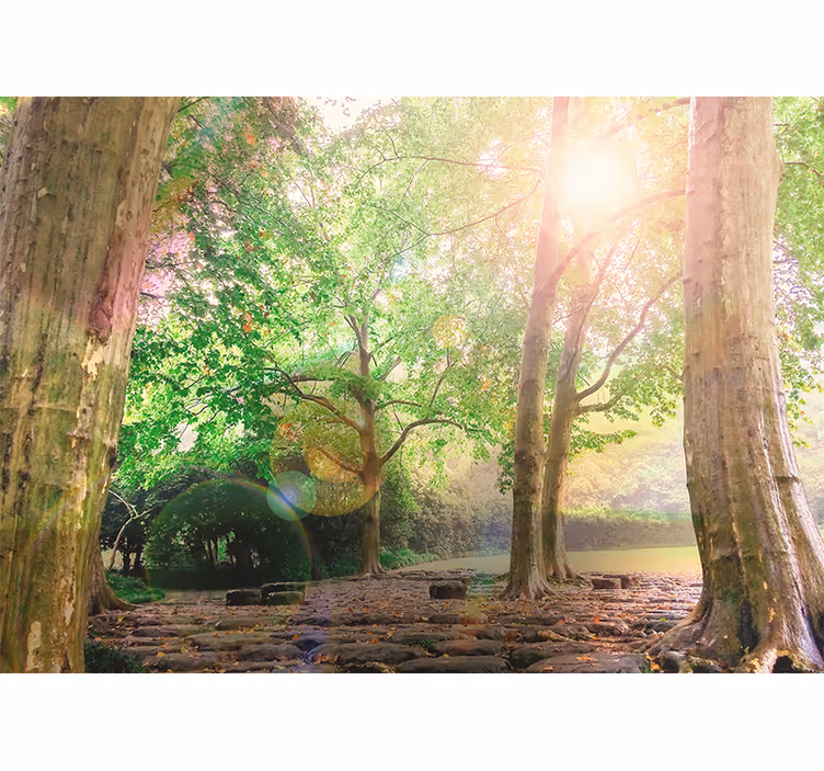 Wall mural nature lush greenery calm - TenStickers