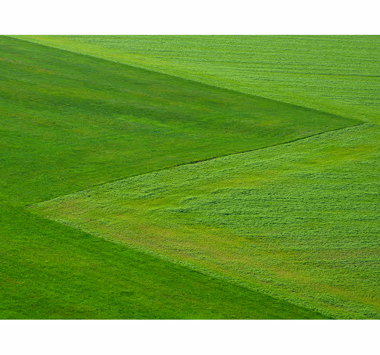 Pure green fields wall mural nature - TenStickers